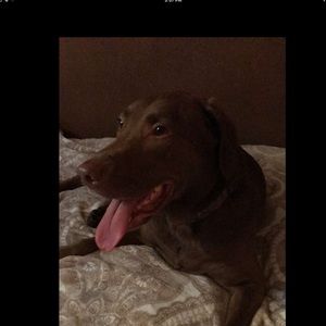 Meet your Posher, Kendra